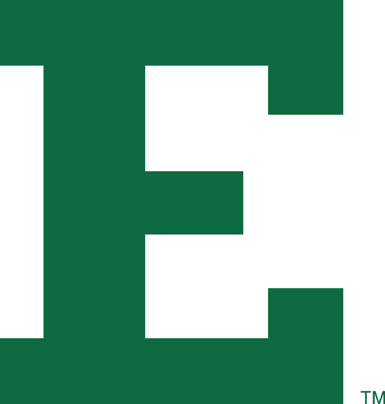Eastern Michigan Eagles 2013-Pres Primary Logo iron on transfers for fabric